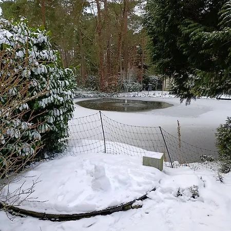 Alpstuga Het Vijverhuisje - Recreation Only Doornspijk