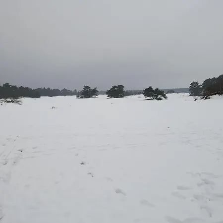 Het Vijverhuisje - Only Alpstuga