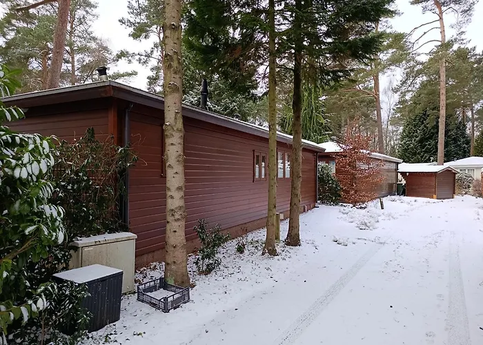 Alpstuga Het Vijverhuisje - Recreation Only Doornspijk