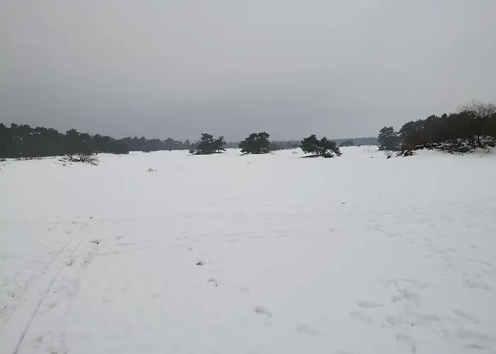 Het Vijverhuisje - Recreation Only Alpstuga