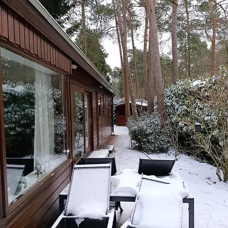 Het Vijverhuisje - Only 木屋